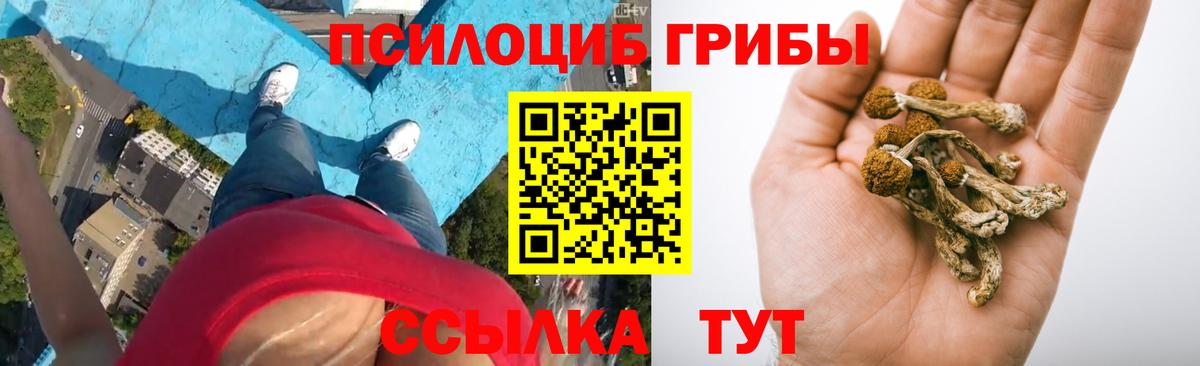 Омск  Галлюциногенные грибы прущие грибы  Вход с VPN  Галлюциногенные грибы MAGIC MUSHROOMS 